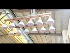 Vente à chaud de biscuits en ferreau en plastique à bas prix